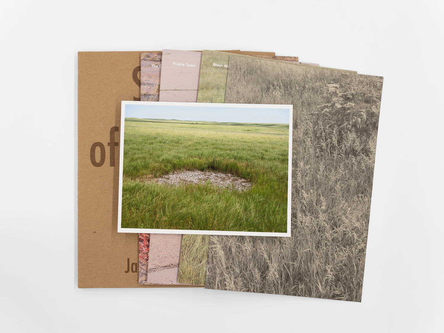 Book with Special Edition Print