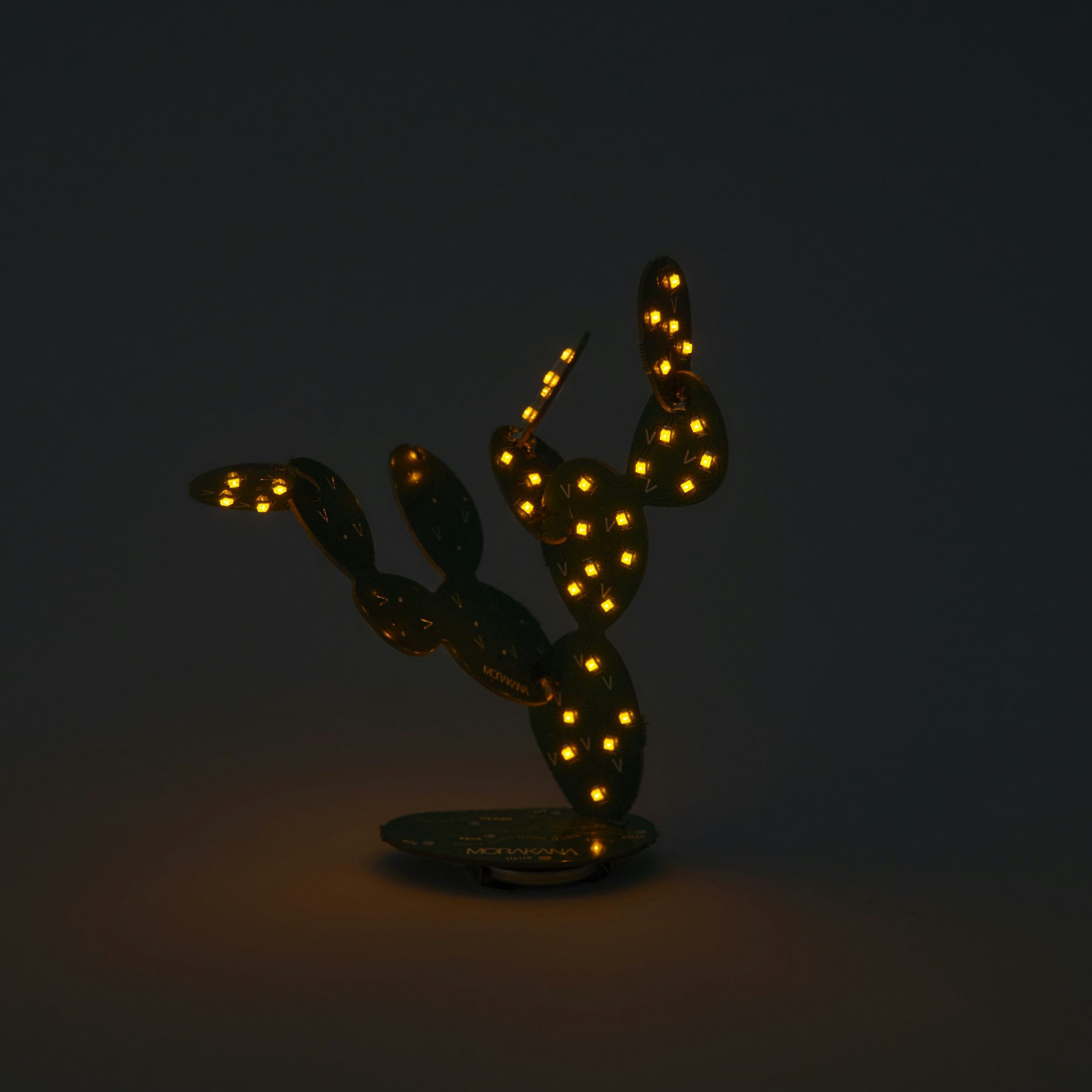 Nopales Modular Lamp in the dark