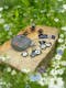Your Final Meditation FILM • Magic Rock + Digital Bundle