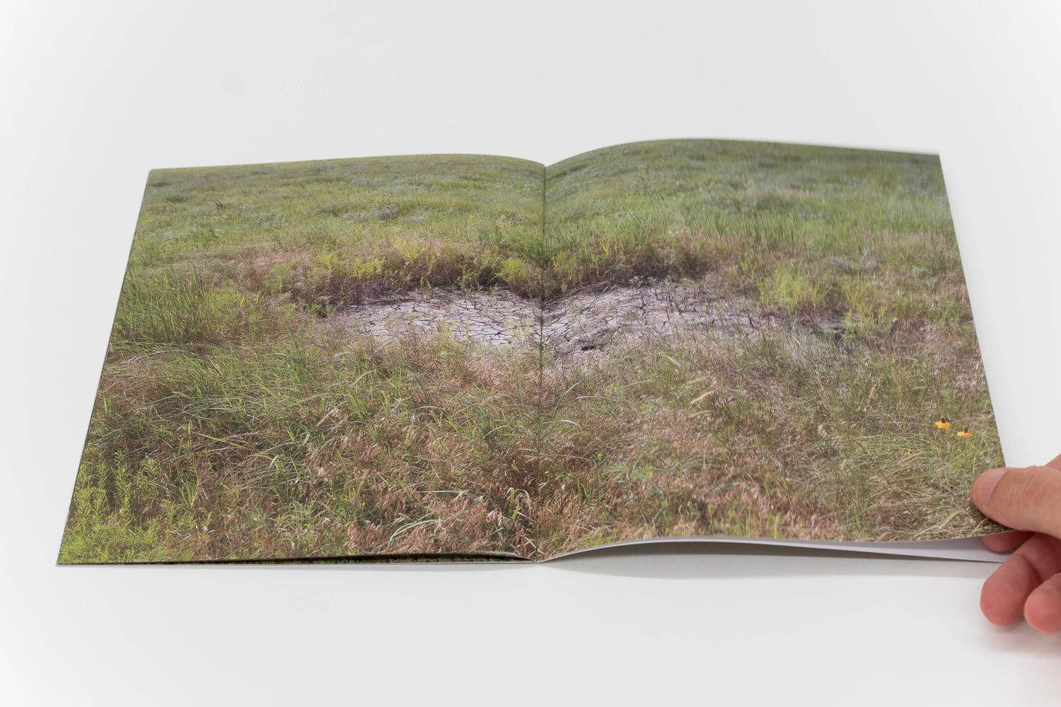 Spread from Bison Wallow