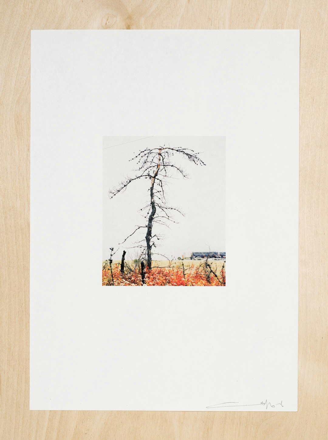 On The Line #1, Chroma print on 70g Kozo Paper. Signed Print 210mm x 297mm ( 8.3" x 11.7") 