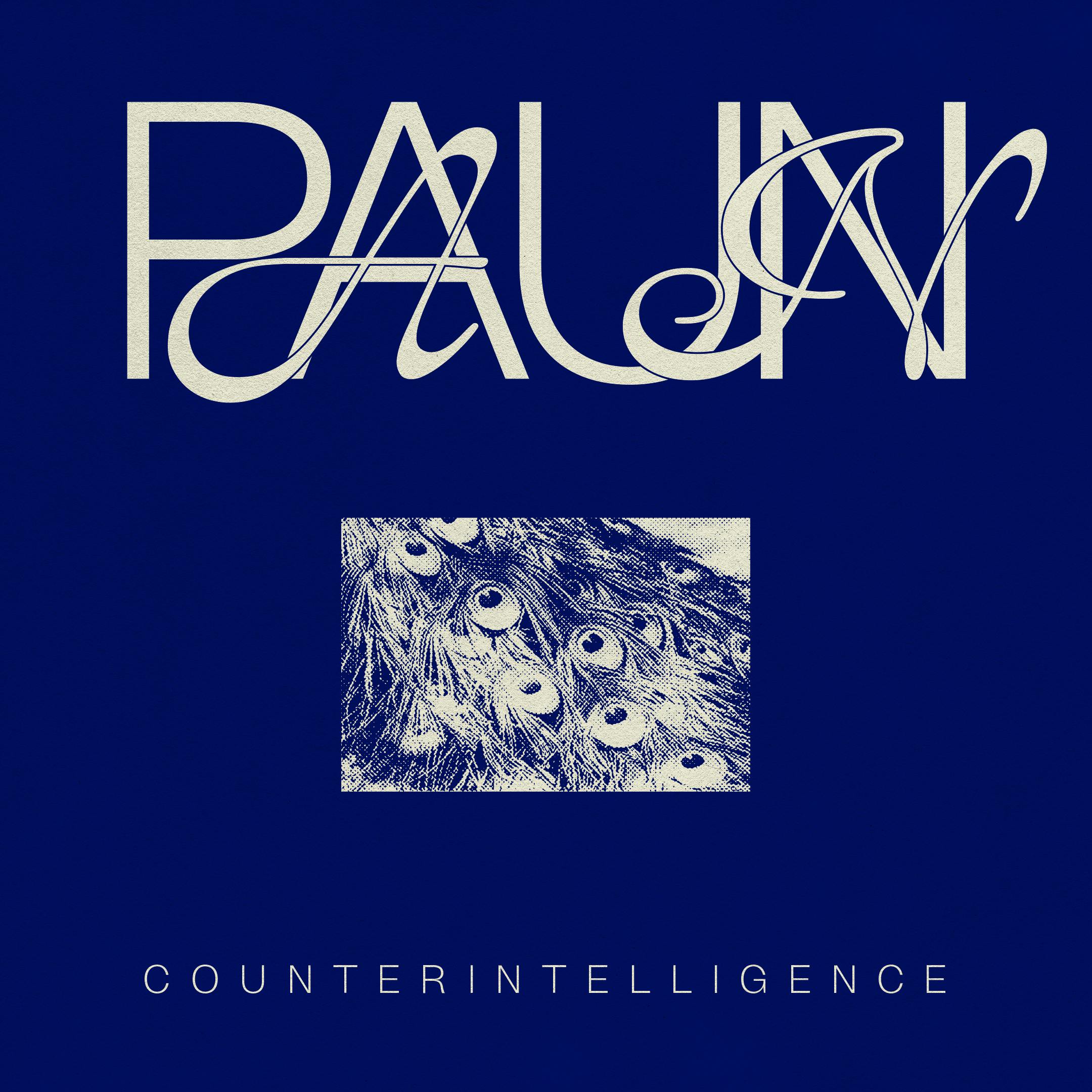 paun - Counterintelligence