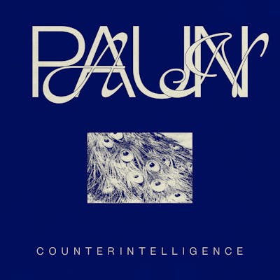 paun - Counterintelligence