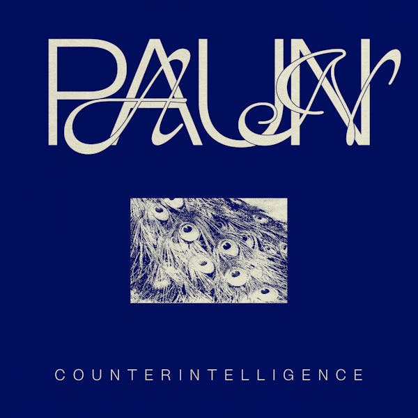 paun - Counterintelligence