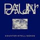 paun - Counterintelligence
