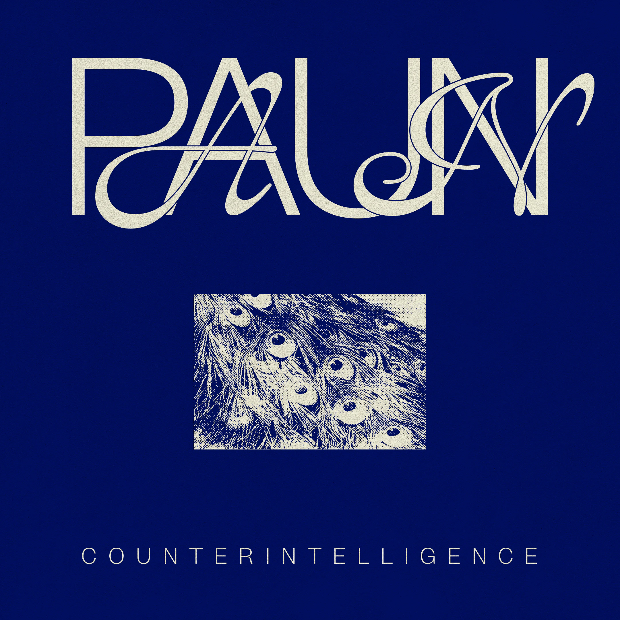 paun - counterintelligence cover art
