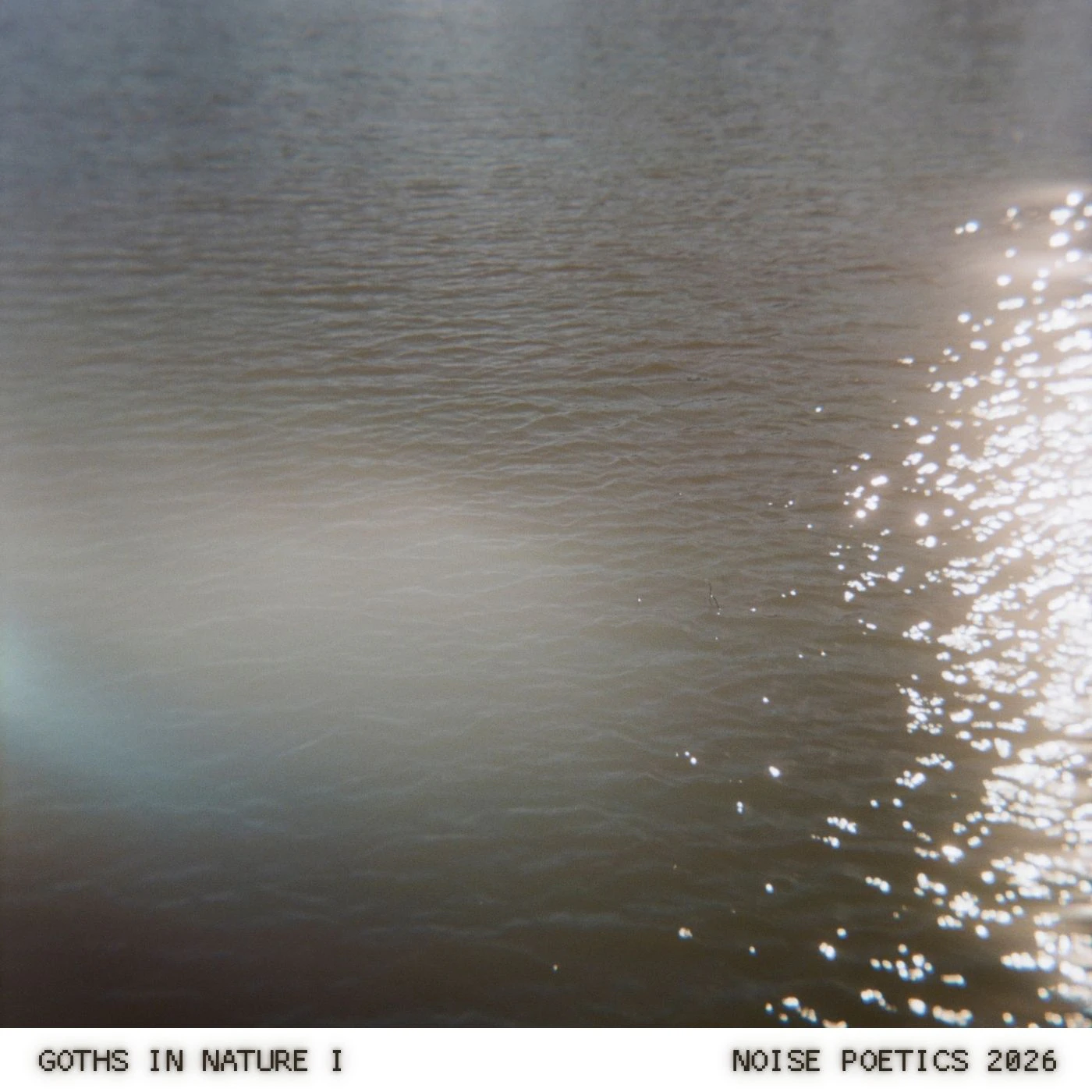 An analog photograph of the ocean in movement, with the sun shining over the small waves. The bottom of the image reads Goths in Nature I, Noise Poetics 2026.