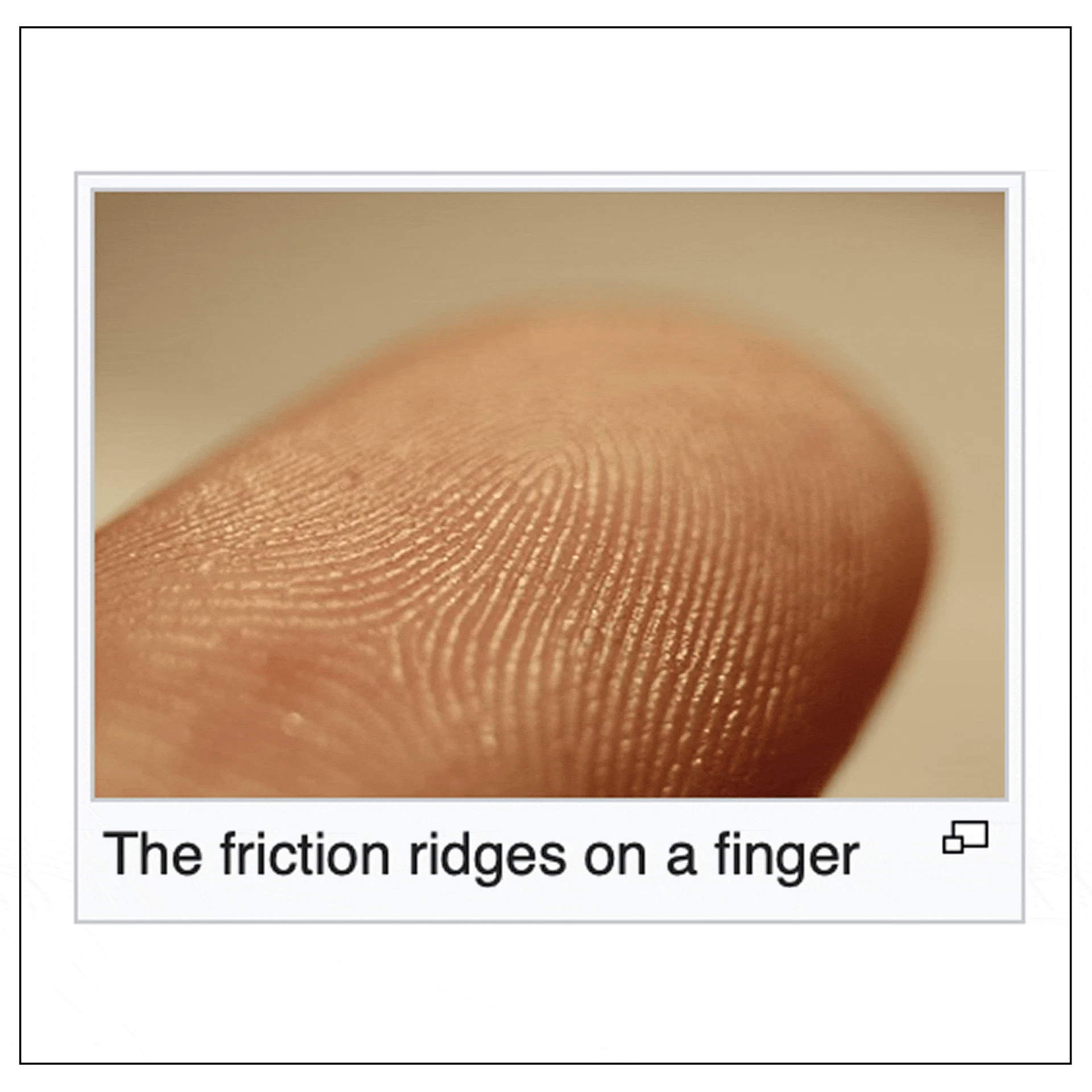 release image
