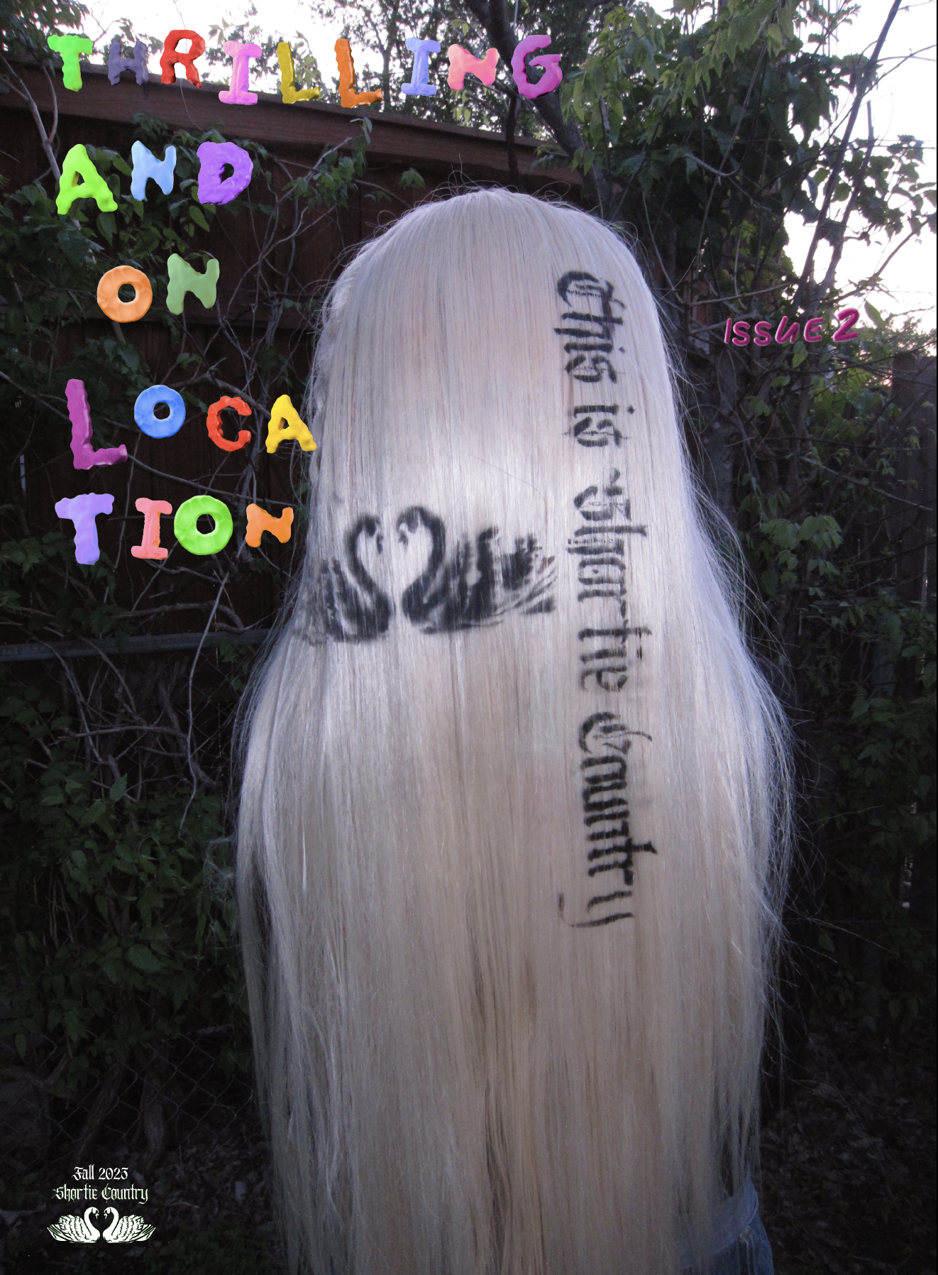release image