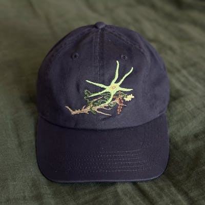 BIOVERSE HAT — Thismia Neptunis