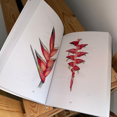 Where Art Meets Science