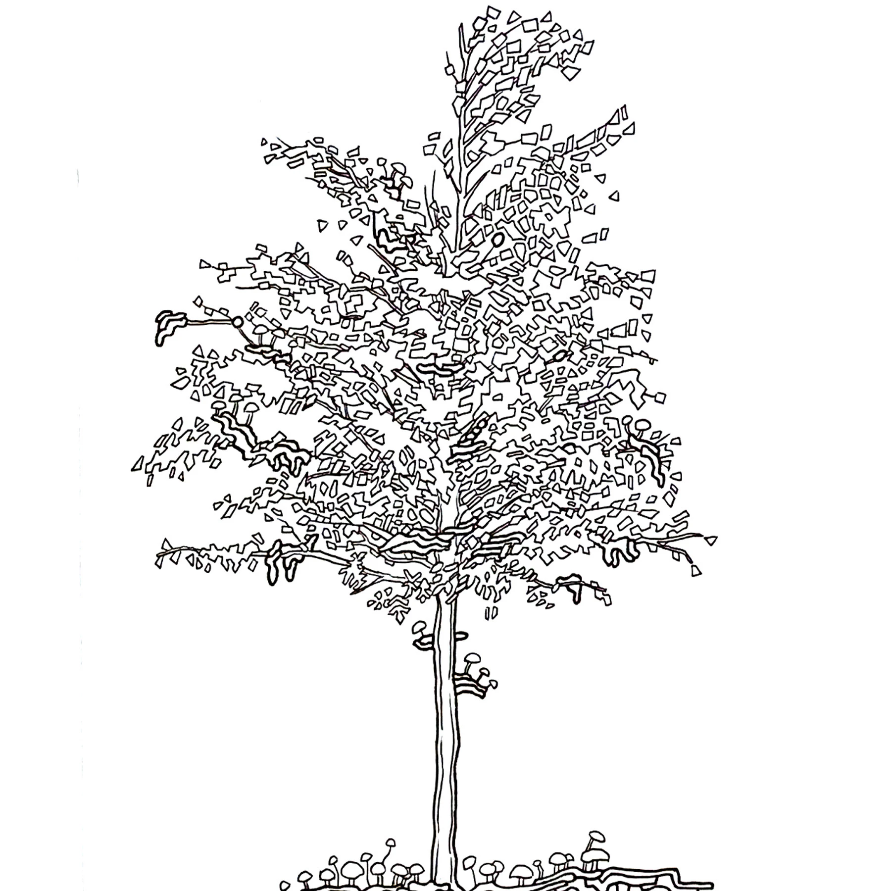 release image