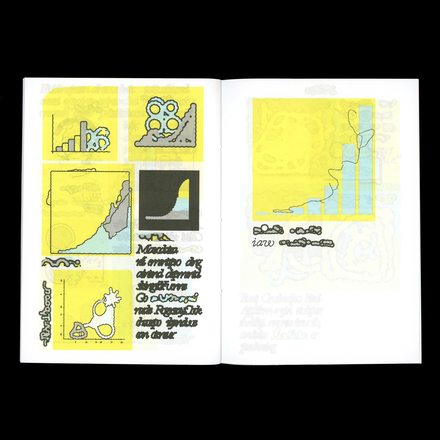 release image