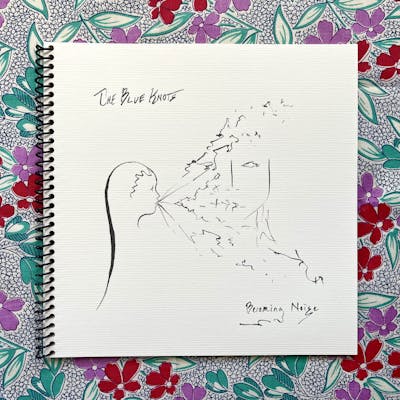 "Becoming Noise" Book and Music Album, by the Blue Knots