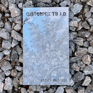 Gay Pompeii 79 A.D. by Legacy Russell, published by GenderFail