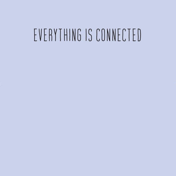 EVERYTHING IS CONNECTED 
