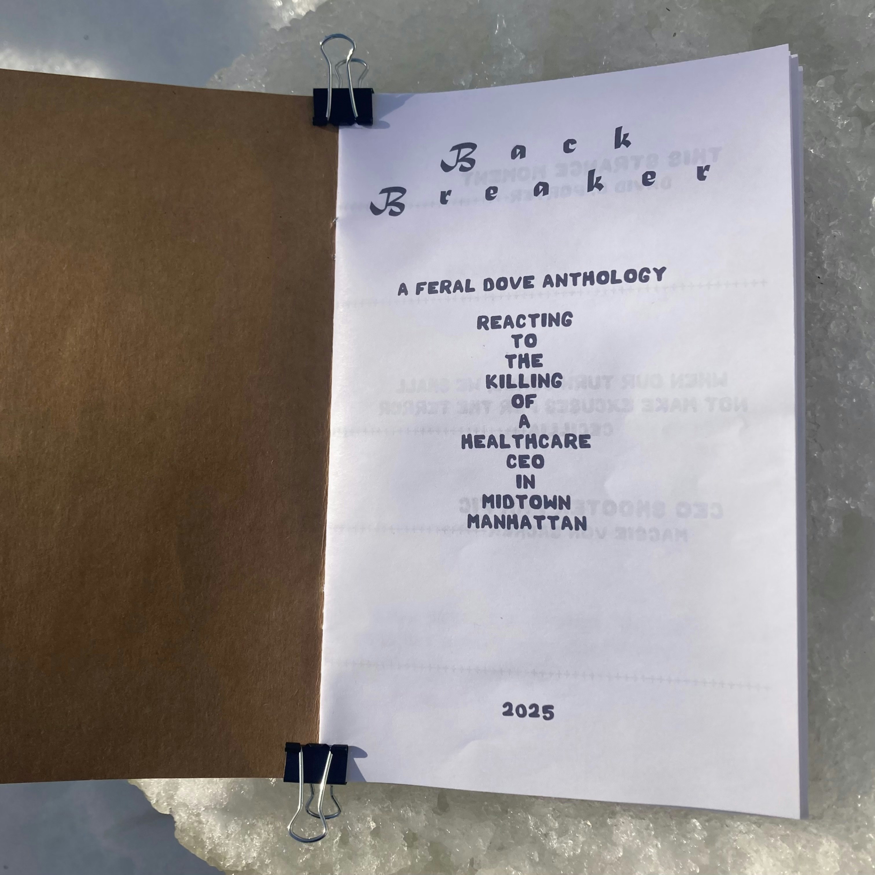 release image