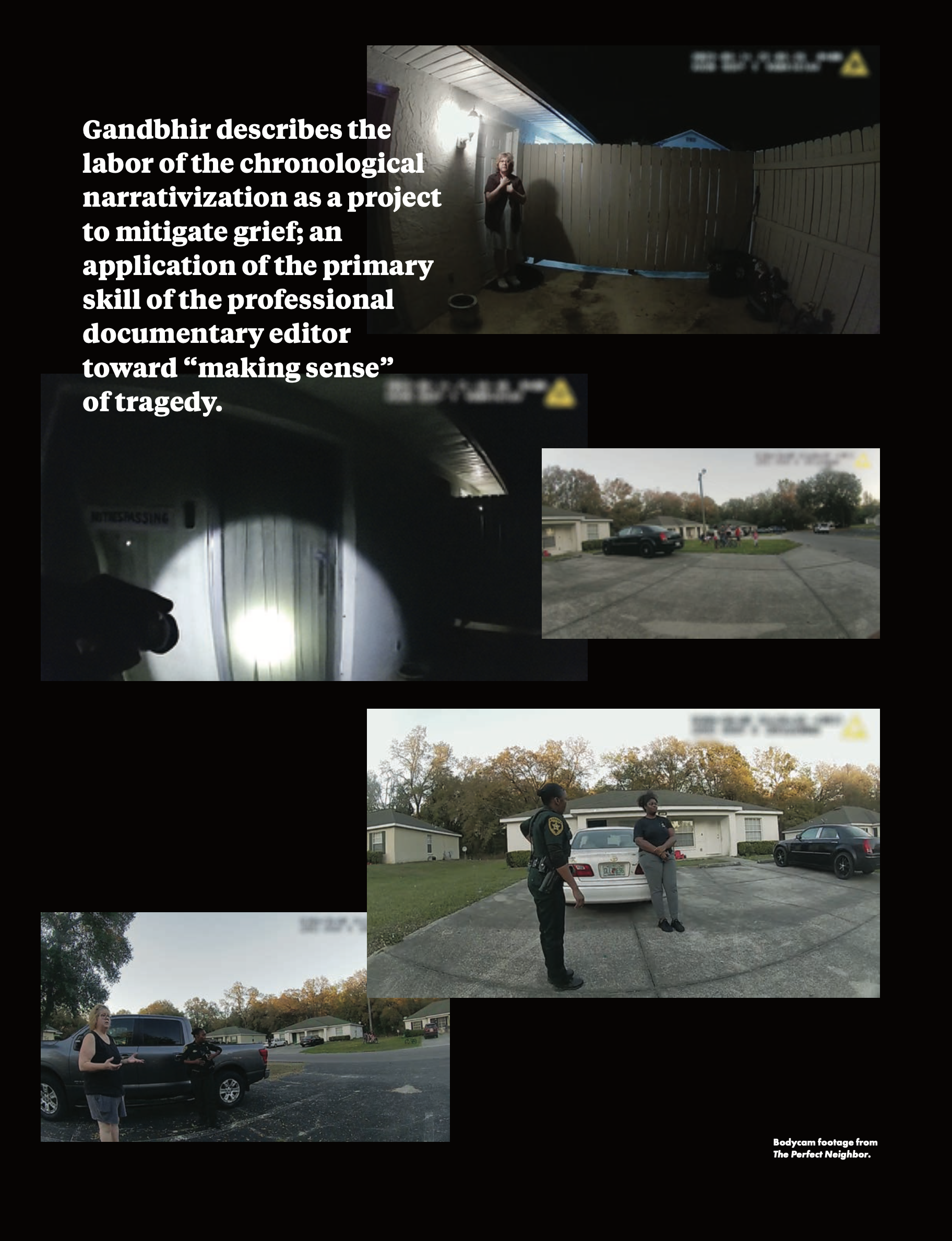 Excerpt from Mackenzie Lukenbill's feature essay on Geeta Gandbhir's The Perfect Neighbor.