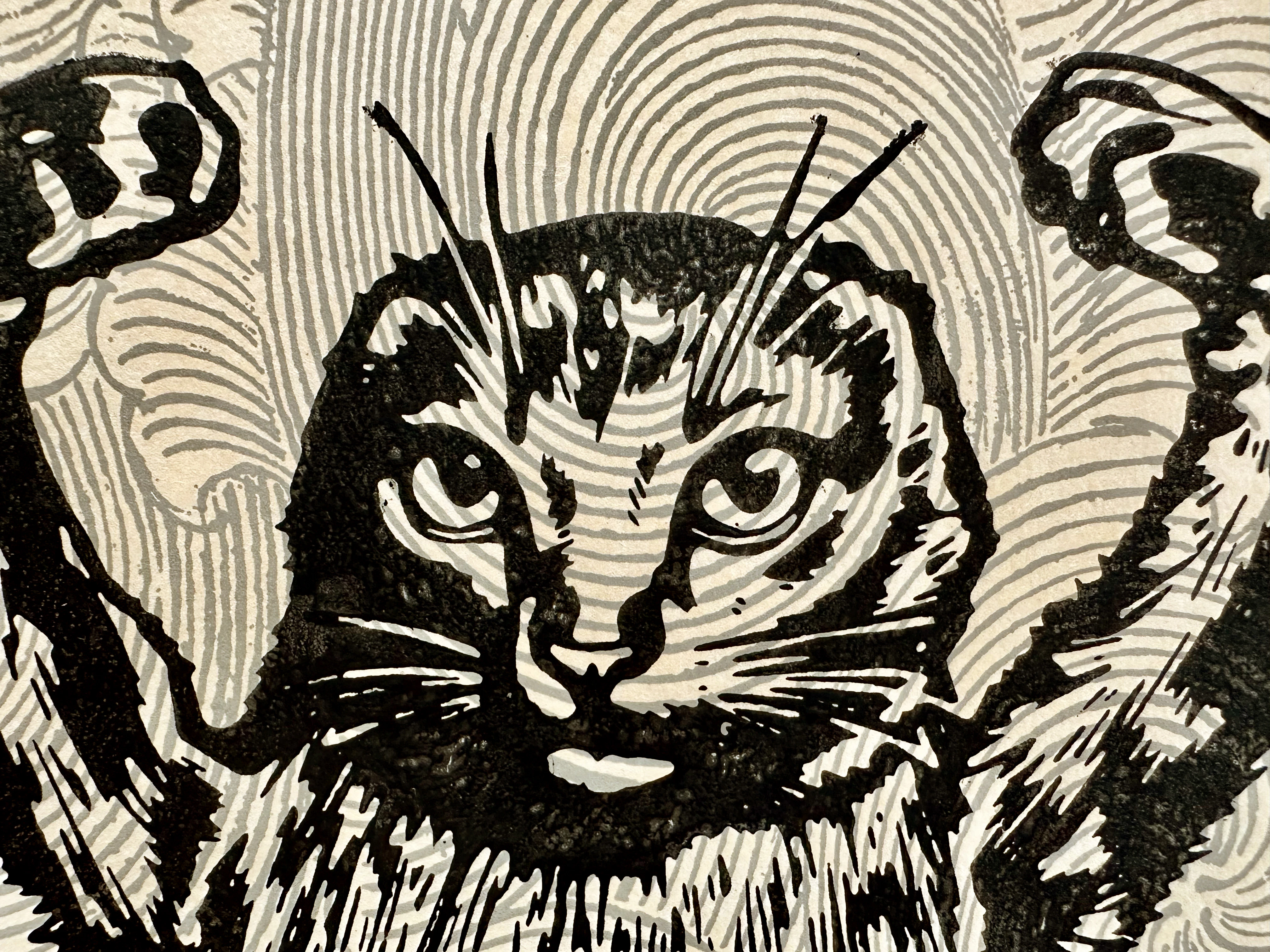 release image