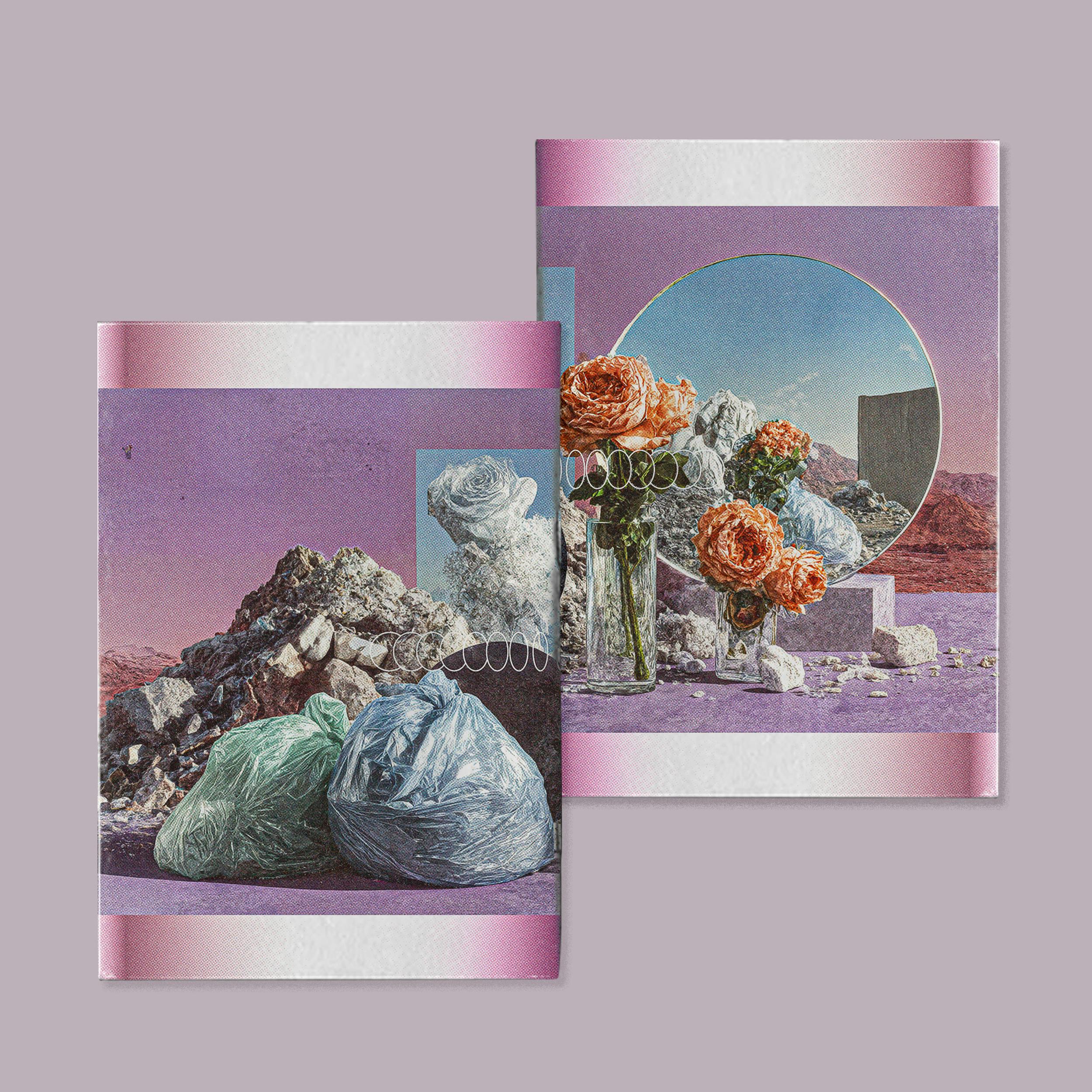 MRROR THE CRISIS OF REFLECTIONS