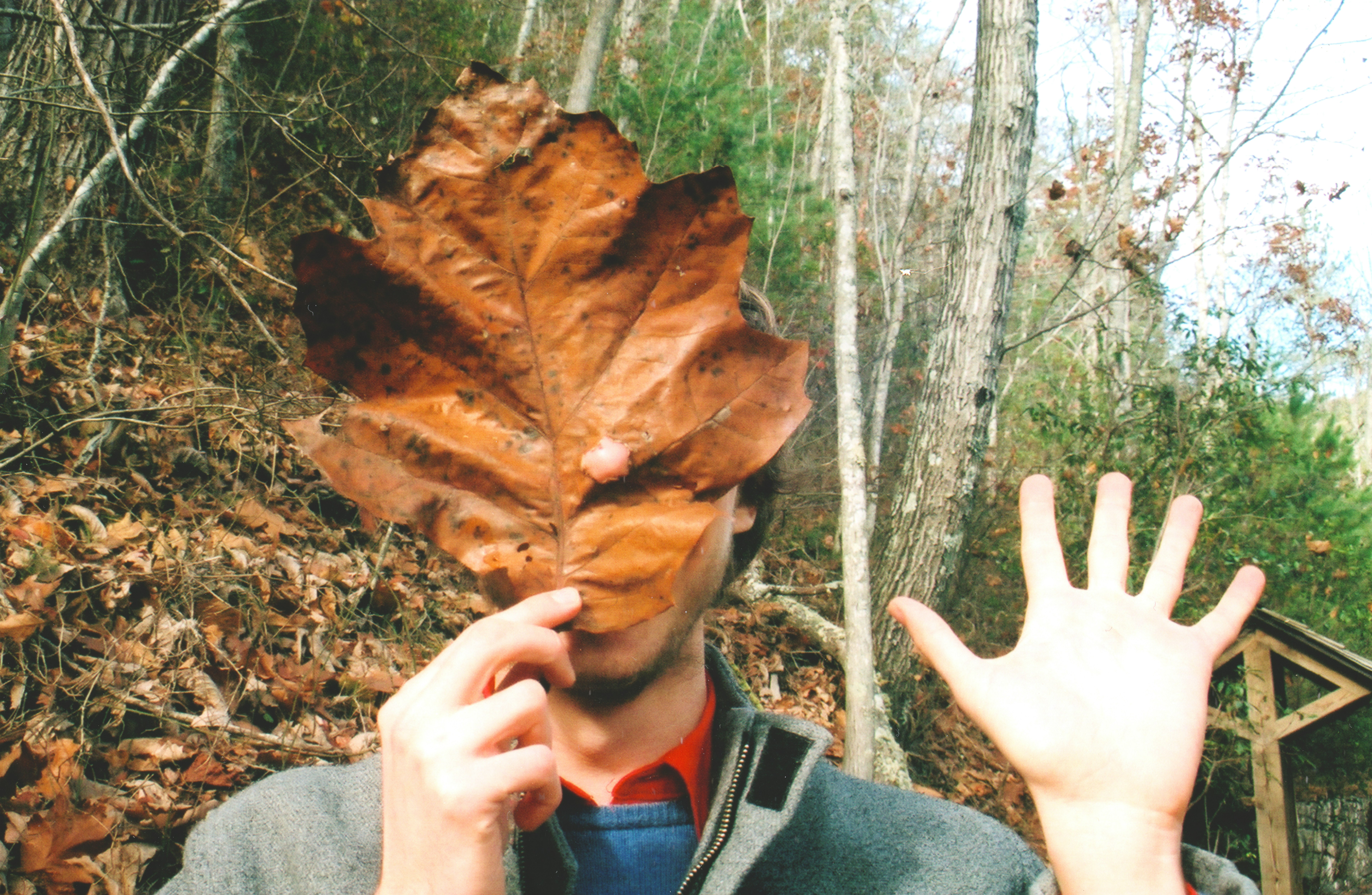 warm film photo of a tall man in a forest in autumn, holding a leaf in front of his face. he wears a grey jacket, slightly unzipped to reveal a blue sweater and a red shirt collar. the man's favorite color is red.