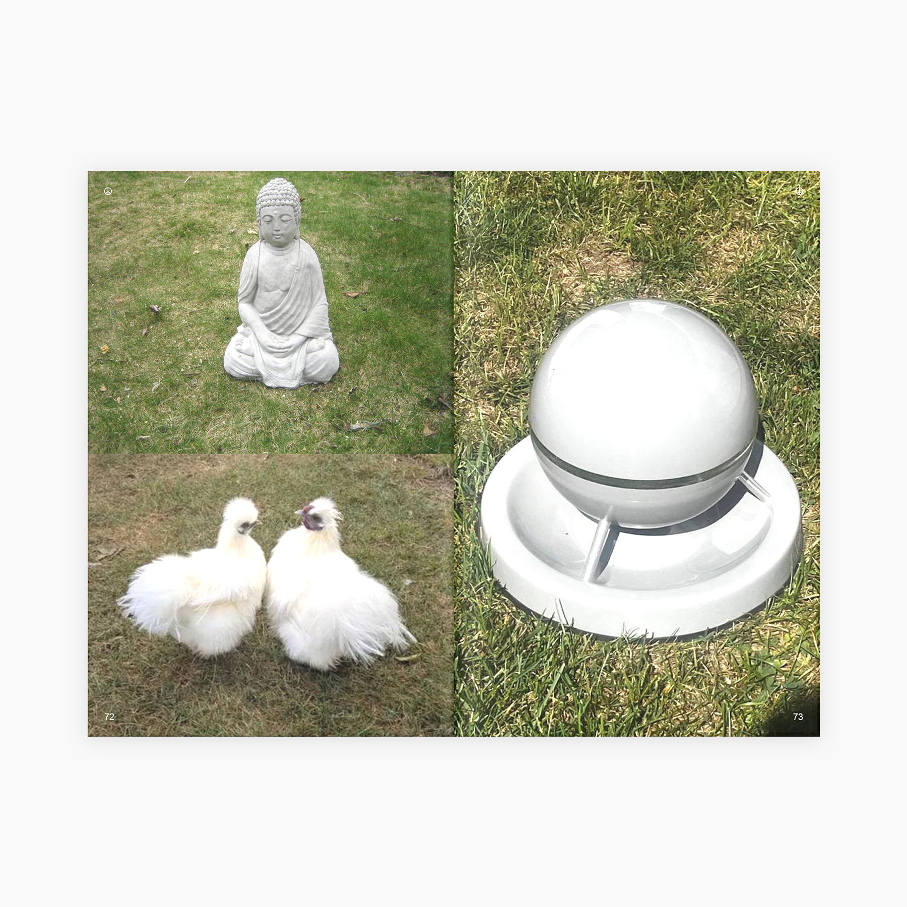 release image