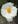 Tabs Breese 