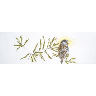 FOR EVERY PURPOSE UNDER HEAVEN: Drawings from the Natural World