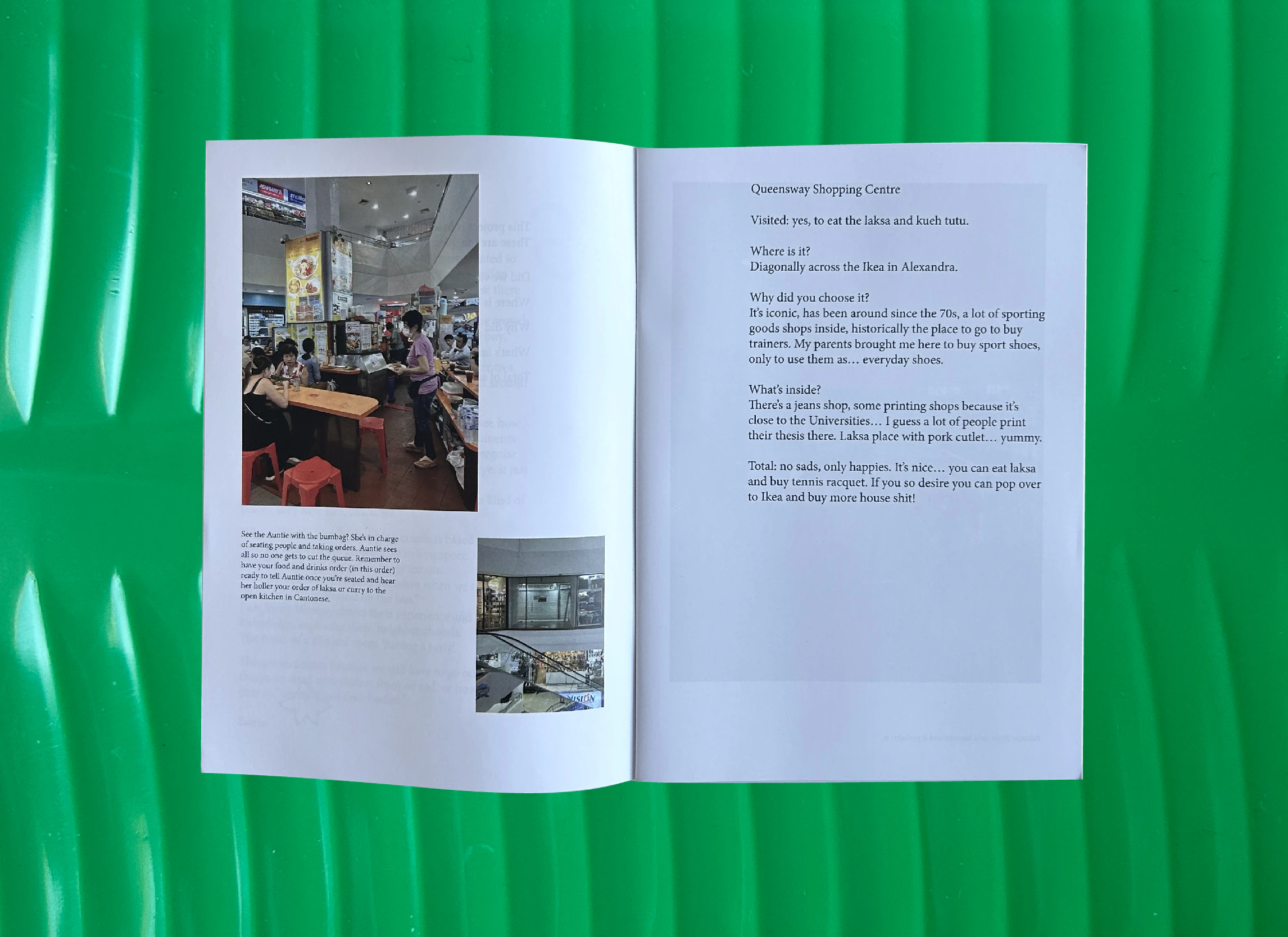 spread of sad or not zine on a fake banana leaf