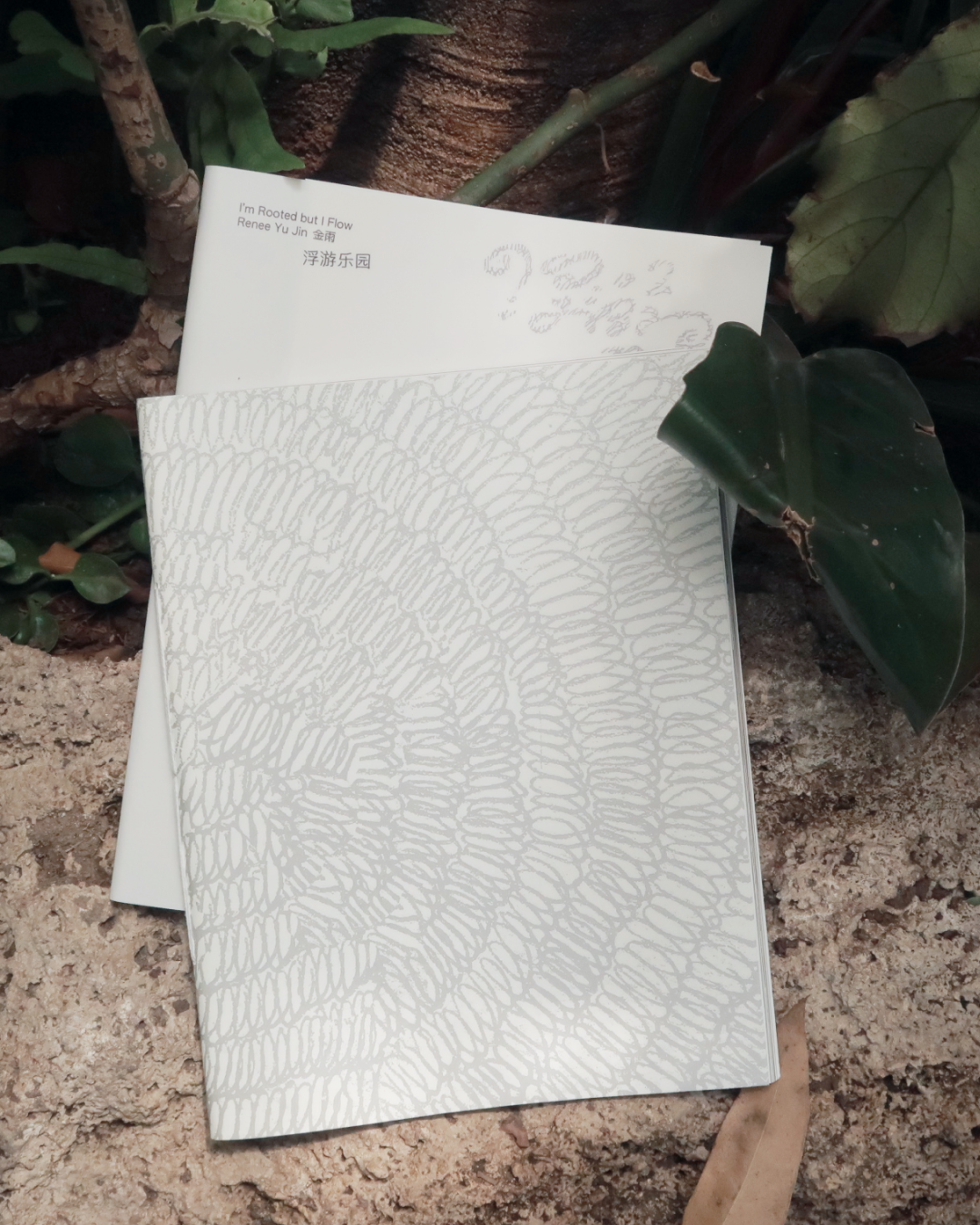 release image