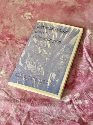 Seeding Our Lineage: A Zine About Ancestral Plants (PDF download)