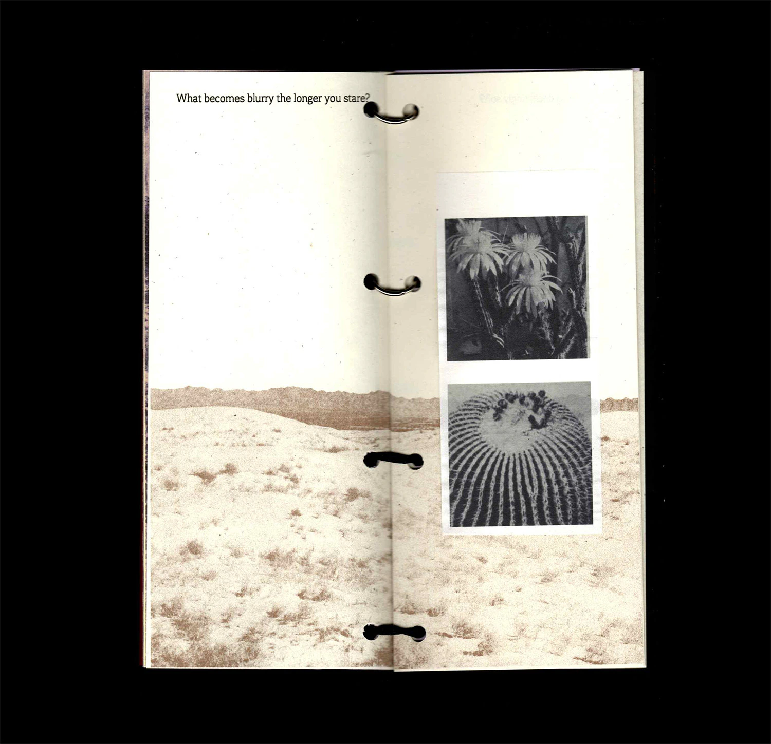 release image