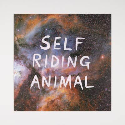 Self-Riding Animal