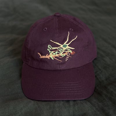 BIOVERSE HAT — Thismia Neptunis