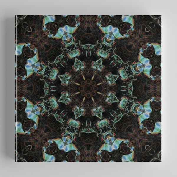 A Guided Sublimation (Portals)