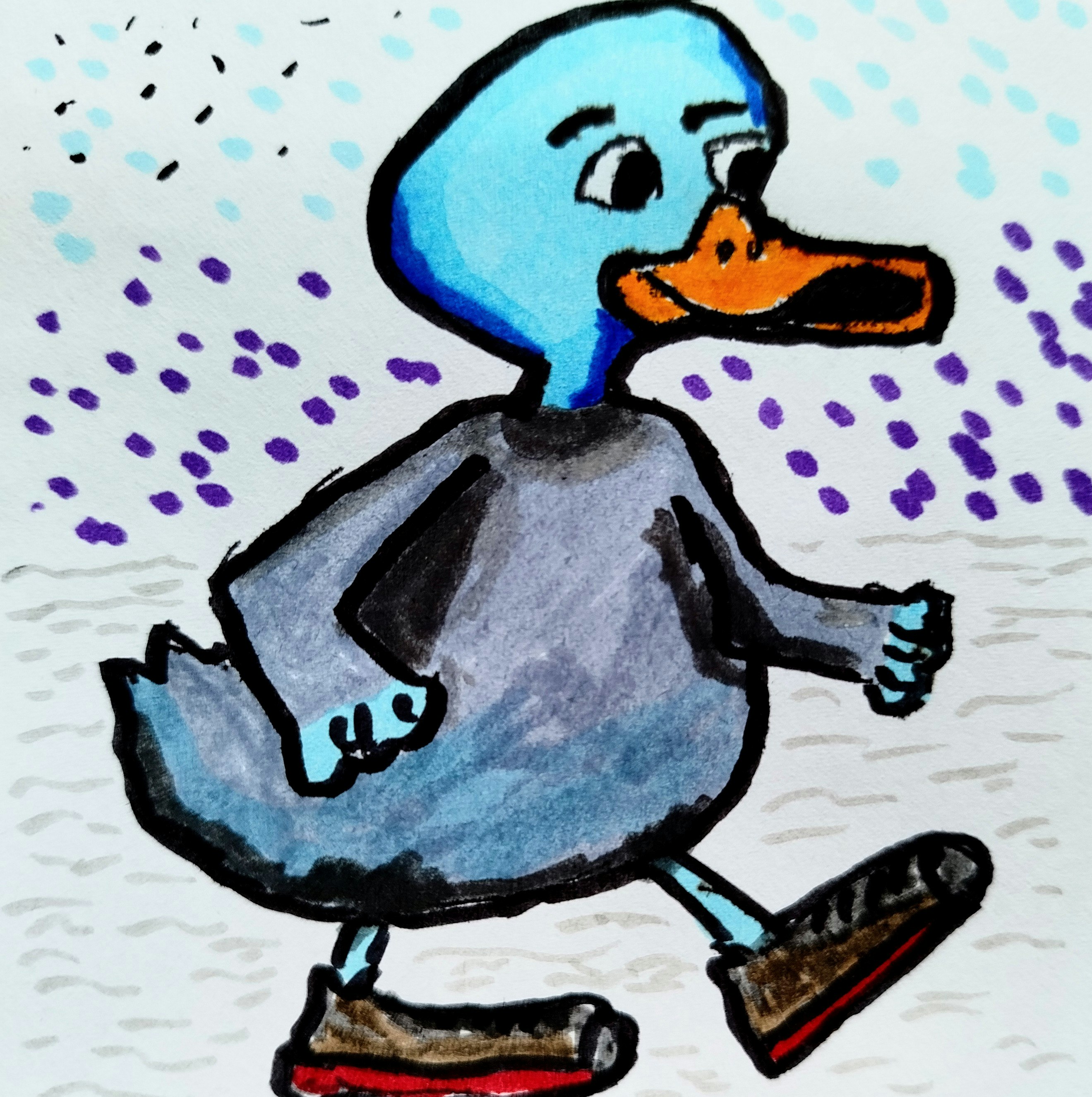 blue duck