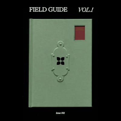Field Guide Vol.1: Observations