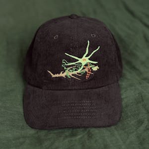 BIOVERSE HAT — Thismia Neptunis