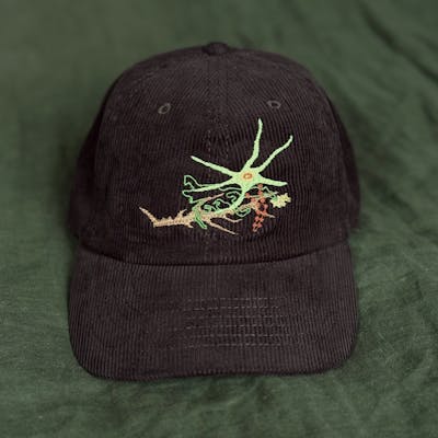 BIOVERSE HAT — Thismia Neptunis
