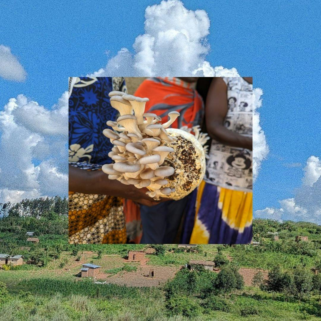 Happy Birthday Hodari Foundation