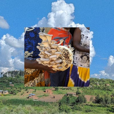 Happy Birthday Hodari Foundation