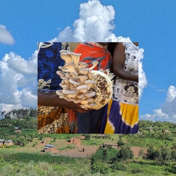 Happy Birthday Hodari Foundation