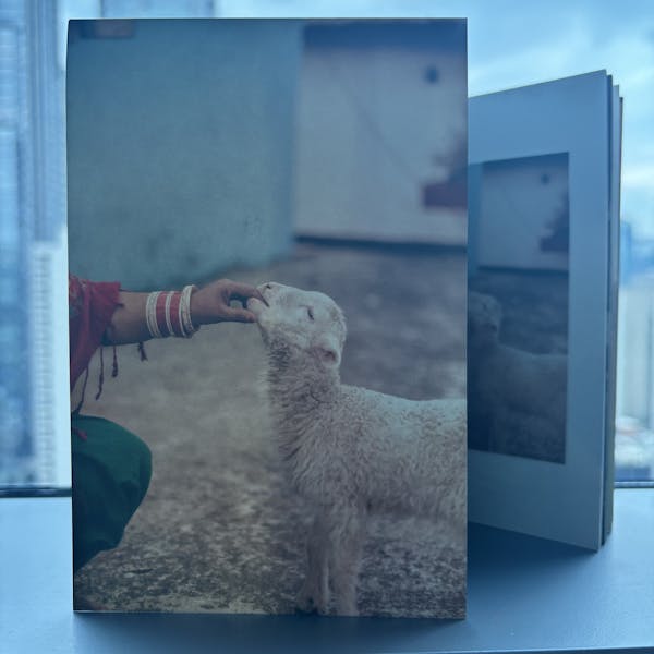 Mai Ni Meriye: More than Human Postcard Print