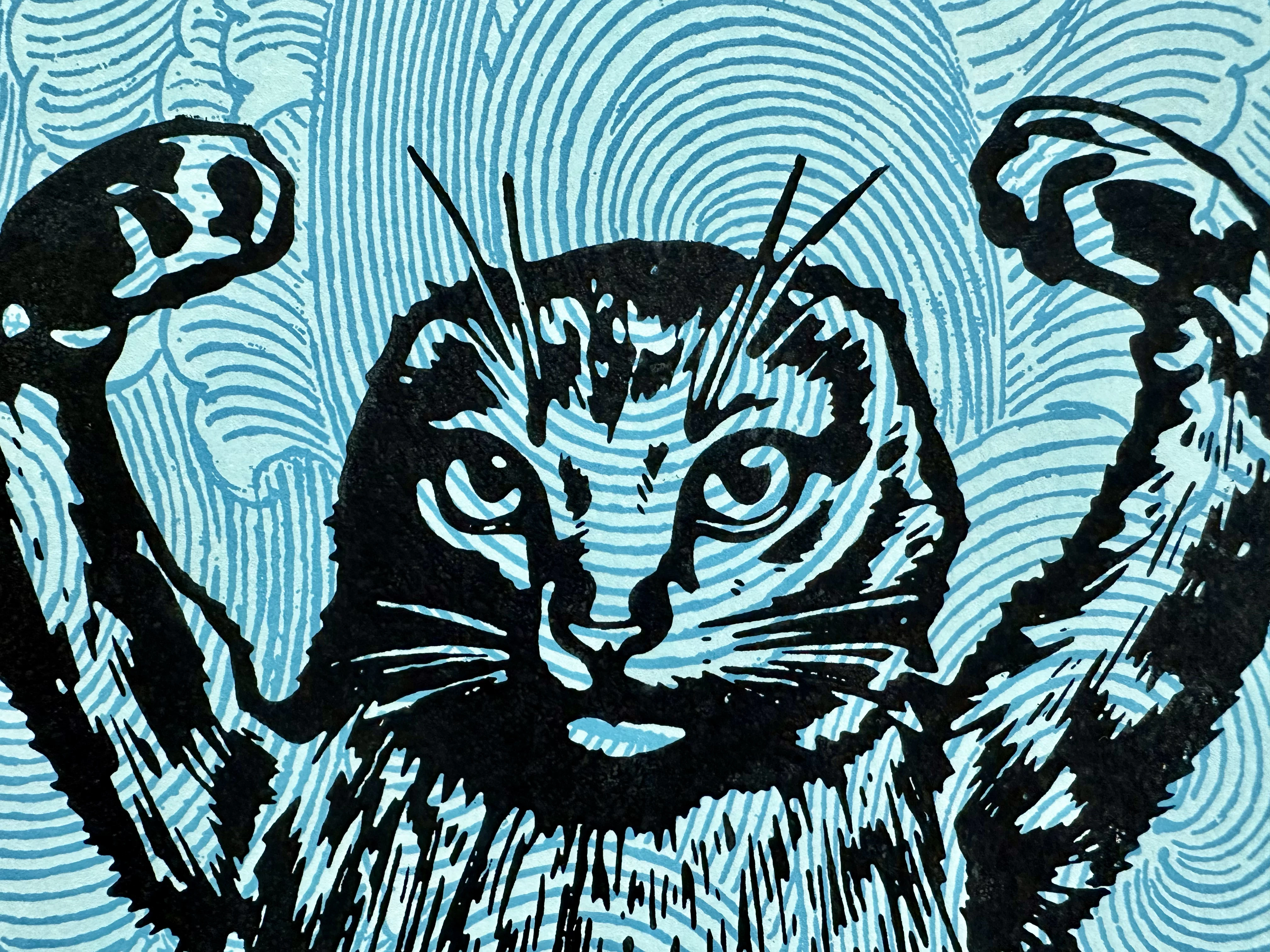 release image