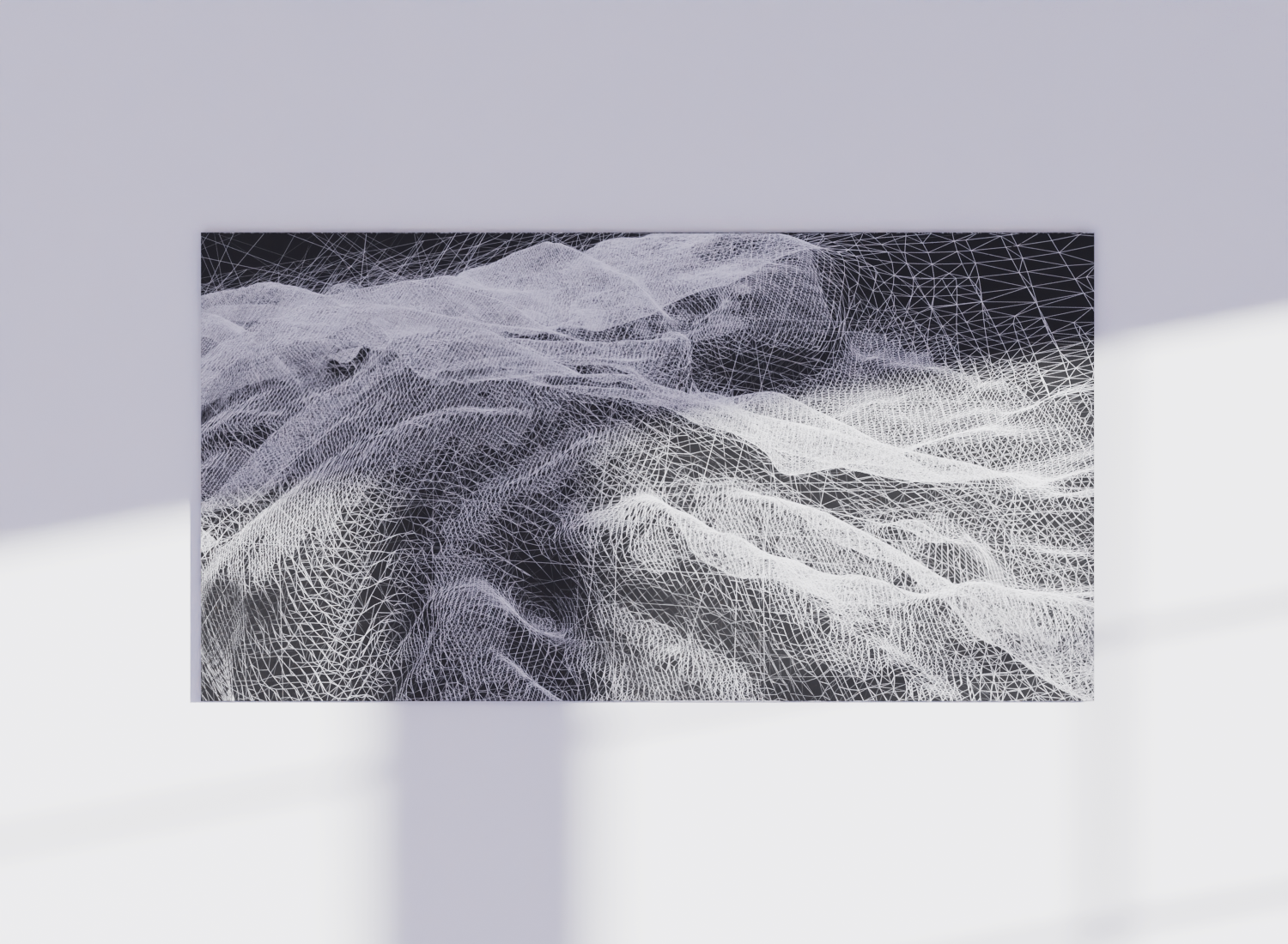 black and white print on Dibond depicting a 3D wireframe world