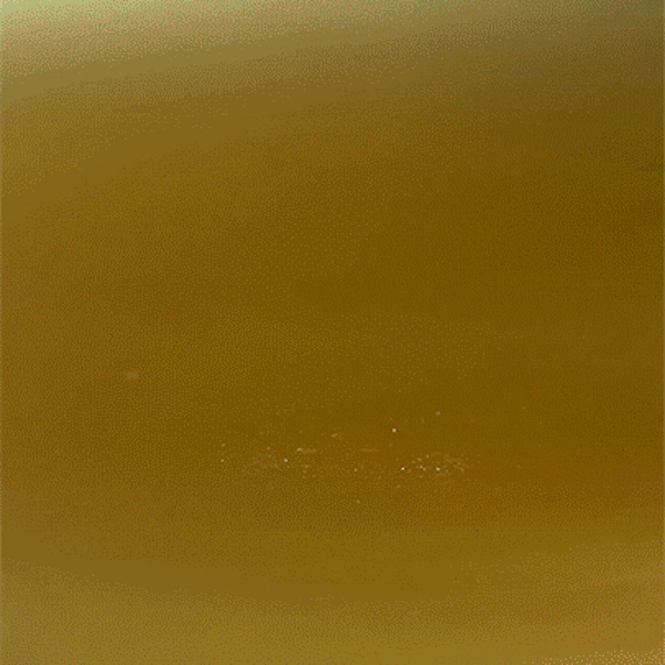 NYC Pocket Garbage: Spain v Argentina ⚽🏆