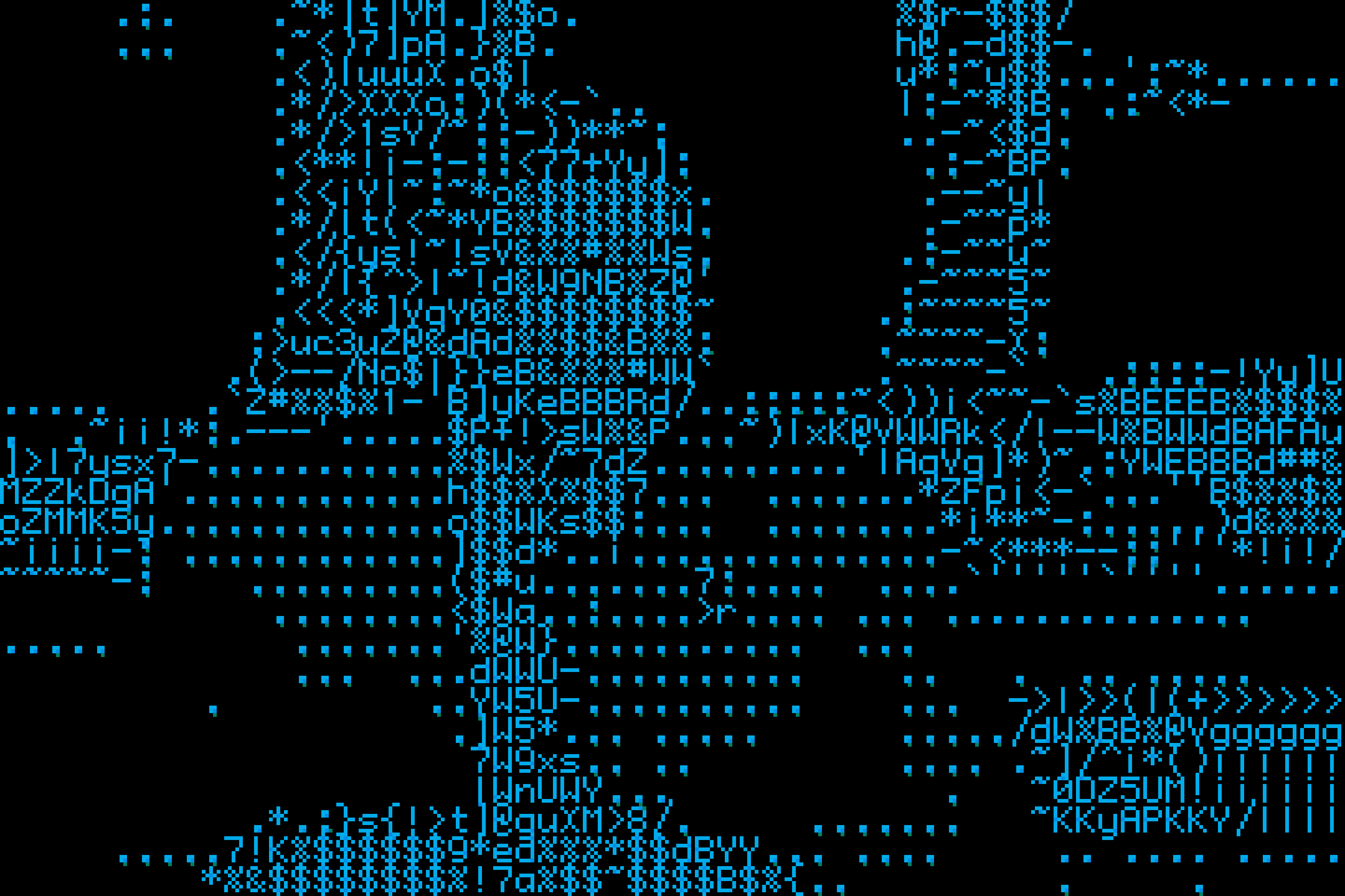 Yoshi Sodeoka, ascii bush, 2010