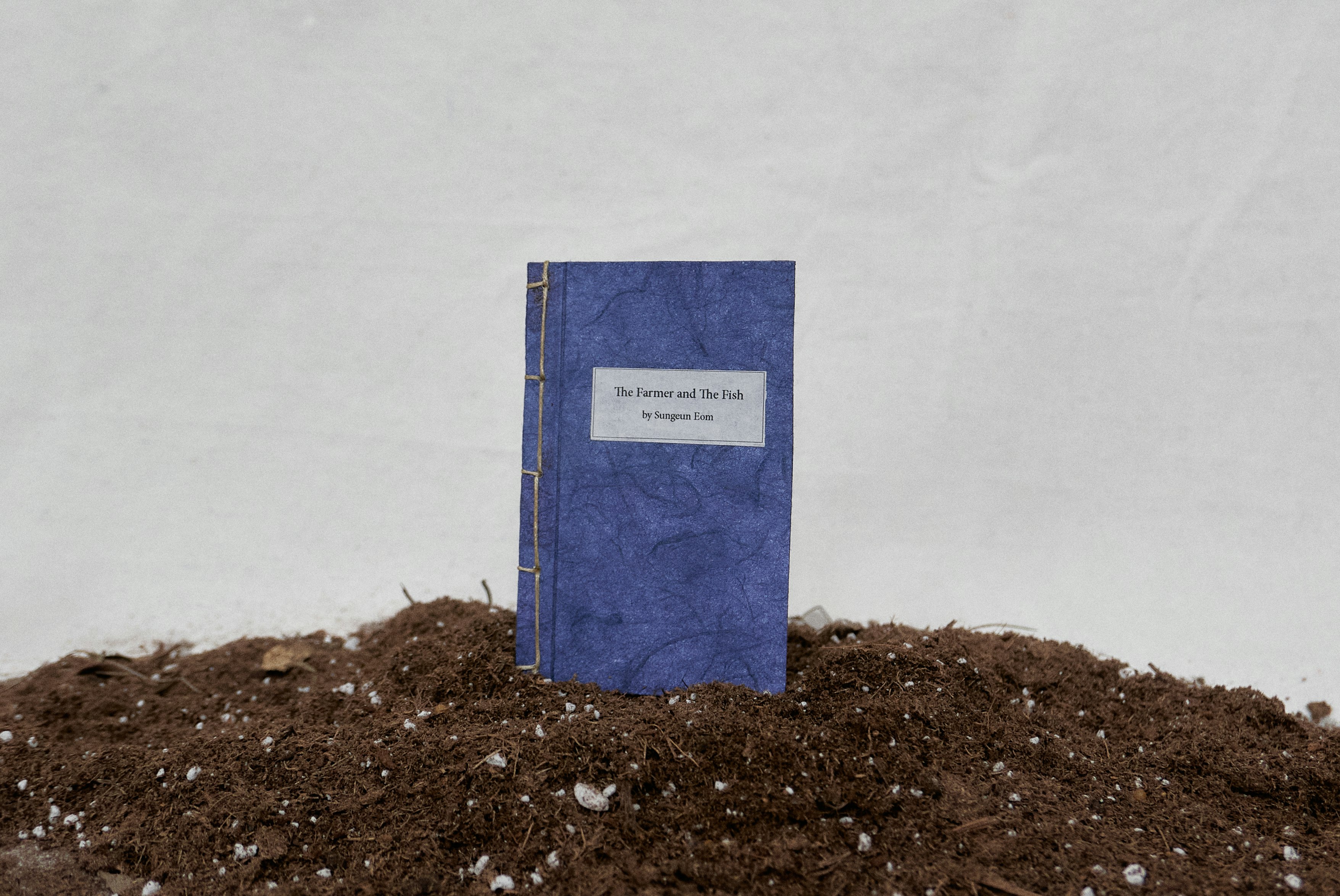 The Farmer and The Fish by Sungeun Eom: a story of a mysterious encounter