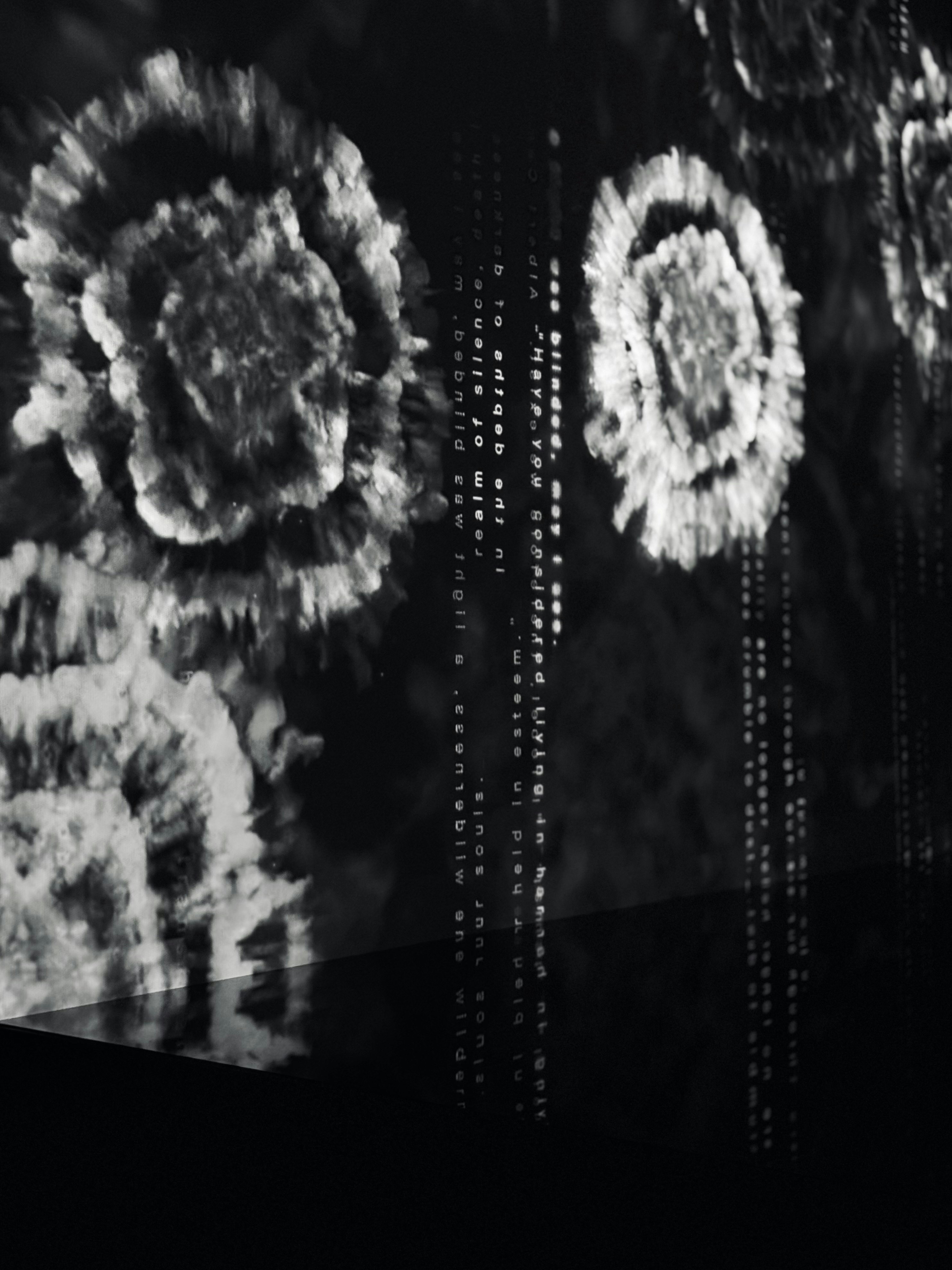 Credit: Wen-Yee Hsieh