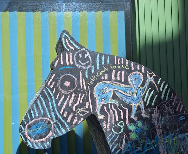 Black Horse (head shot)